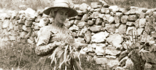 cartel tiempo de siega