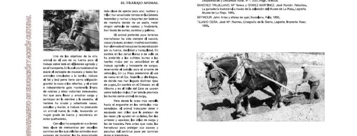 ficha trabajo animal